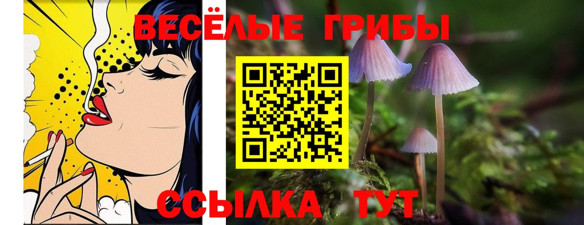 Галлюциногенные грибы Magic Shrooms  Вход с VPN  Нововоронеж 